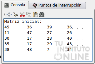 Ejecución del programa